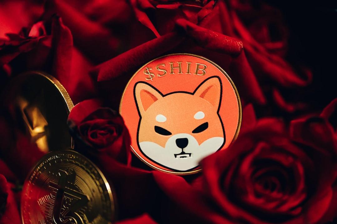 One Cryptocurrency Could Achieve $1,000,000 by 2026, While $1000 in Shiba Inu and Dogecoin Might Reach the Same Goal by 2028